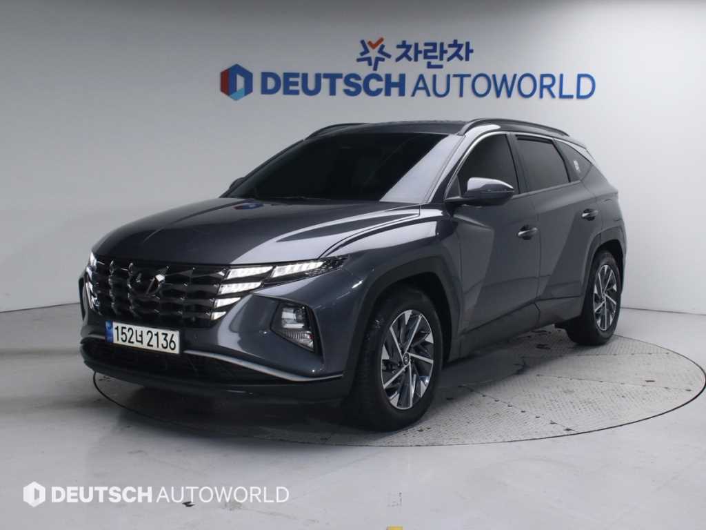 현대 투싼 2.0 2WD Premium