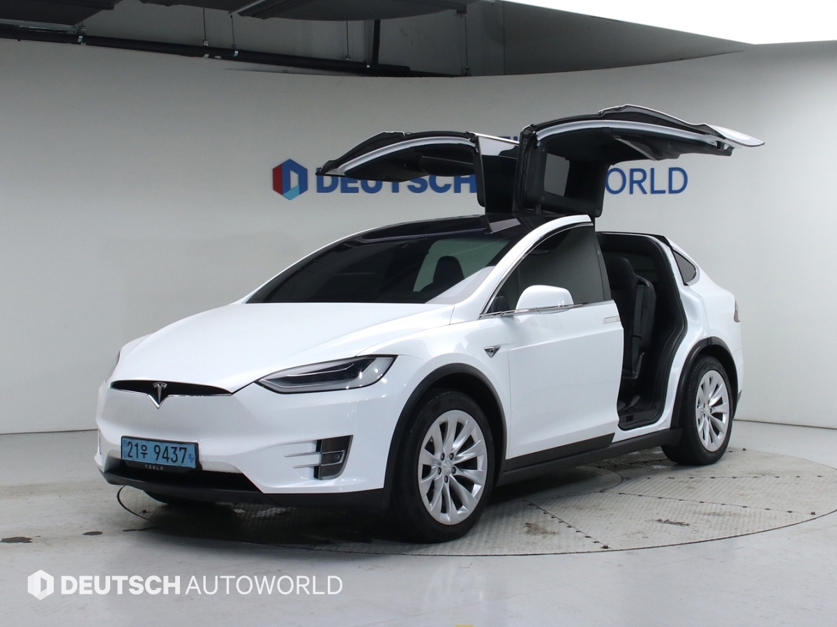 Tesla Model X AWD Rong Reinji