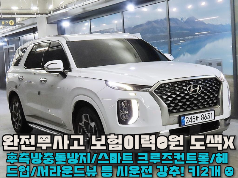 현대 팰리세이드 2.2 AWD Calligraphy