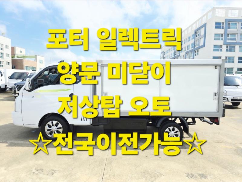 Hyundai Porter II EV Panel Low Bed