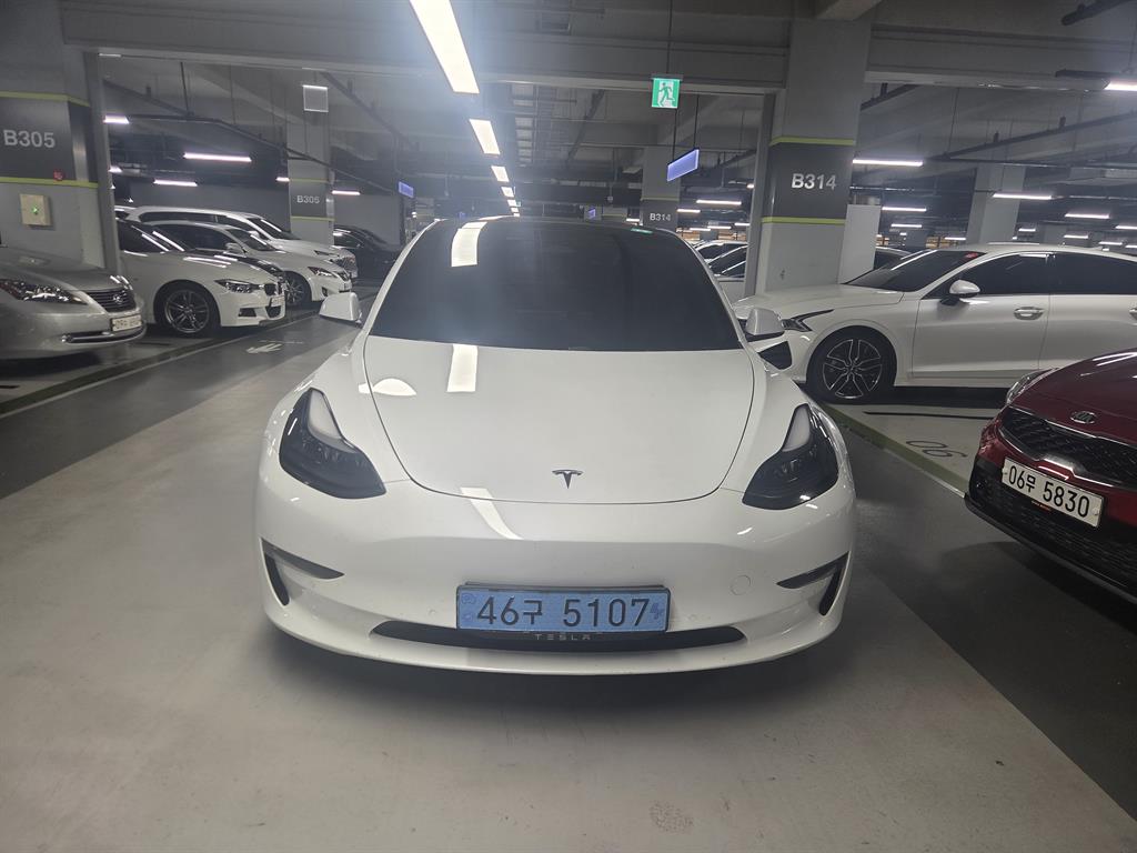 Tesla Model 3 AWD Rong Reinji