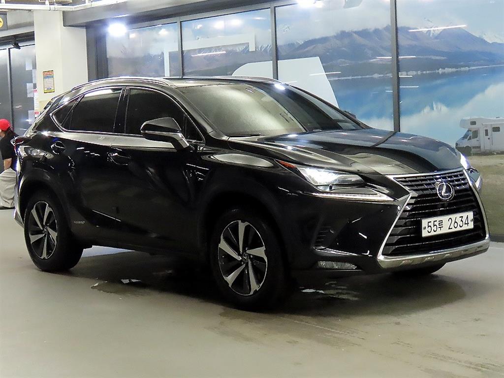 렉서스 NX 300h