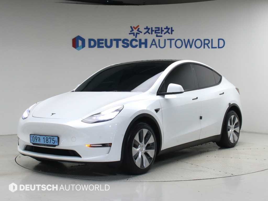 Tesla Model Y AWD Rong Reinji