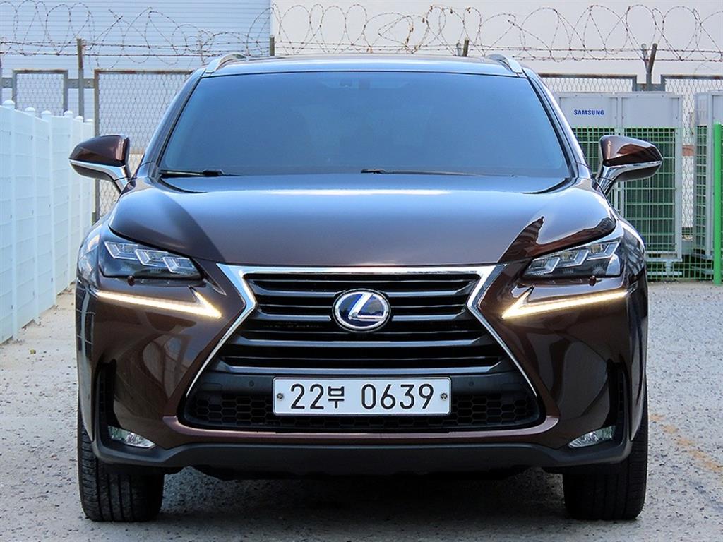 렉서스 NX 300h