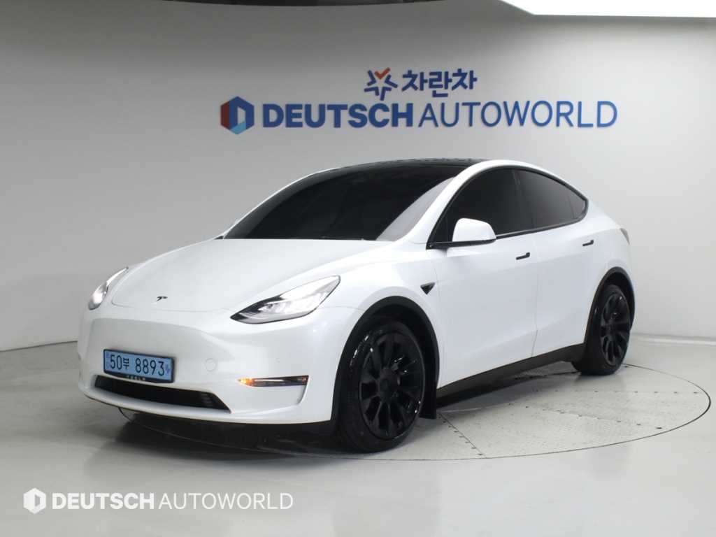 Tesla Model Y AWD Rong Reinji