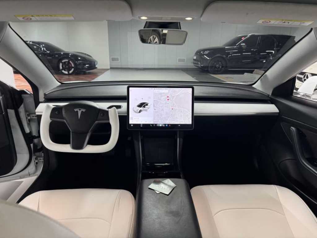 테슬라 Model 3 RWD Standard Reinji Plus