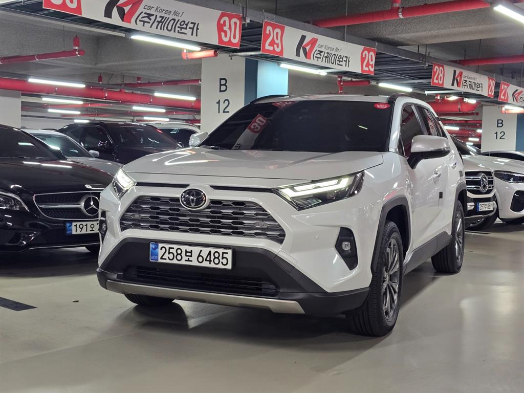 토요타 라브4 2.5 AWD 하이브리드 LTD