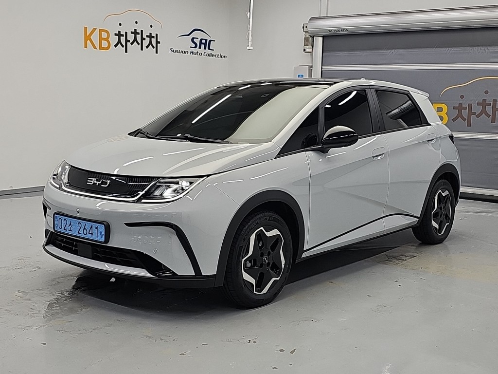 BYD Dolpin Dolpin EV