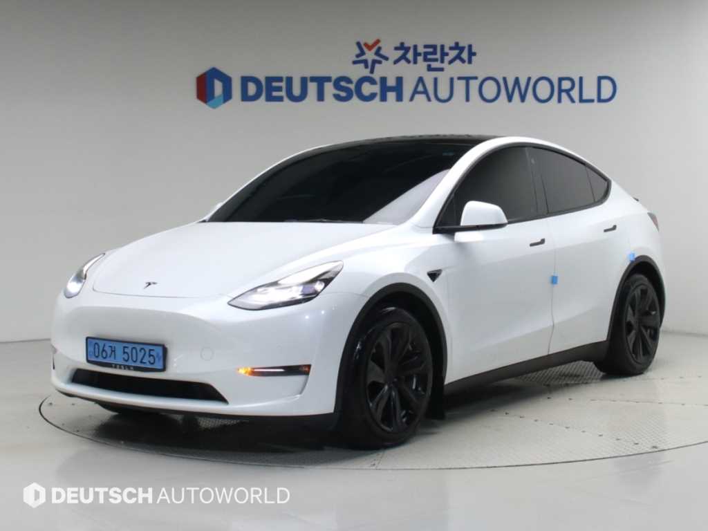 Tesla Model Y AWD Rong Reinji