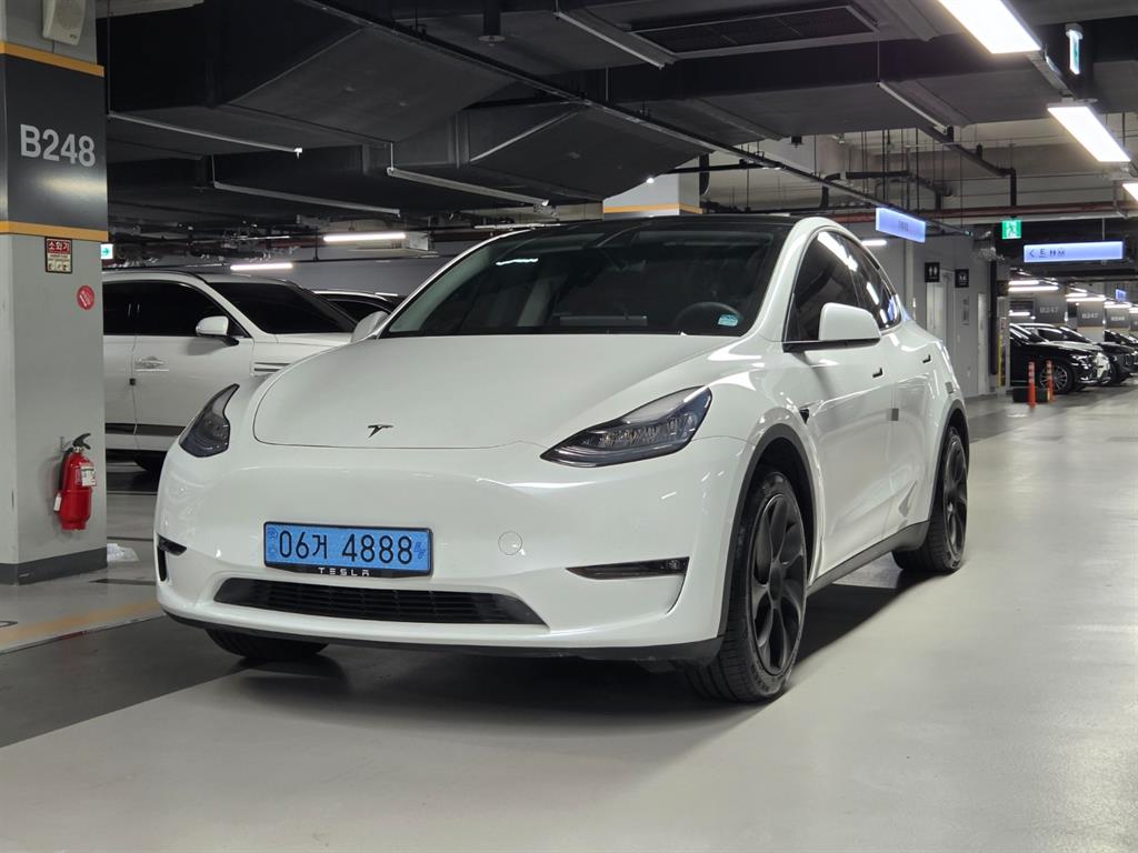 테슬라 Model Y RWD Standard Reinji