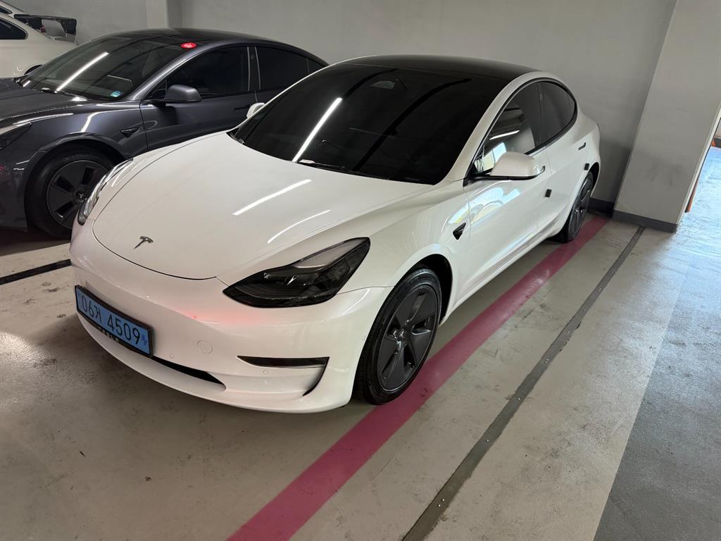 Tesla Model 3 AWD Rong Reinji