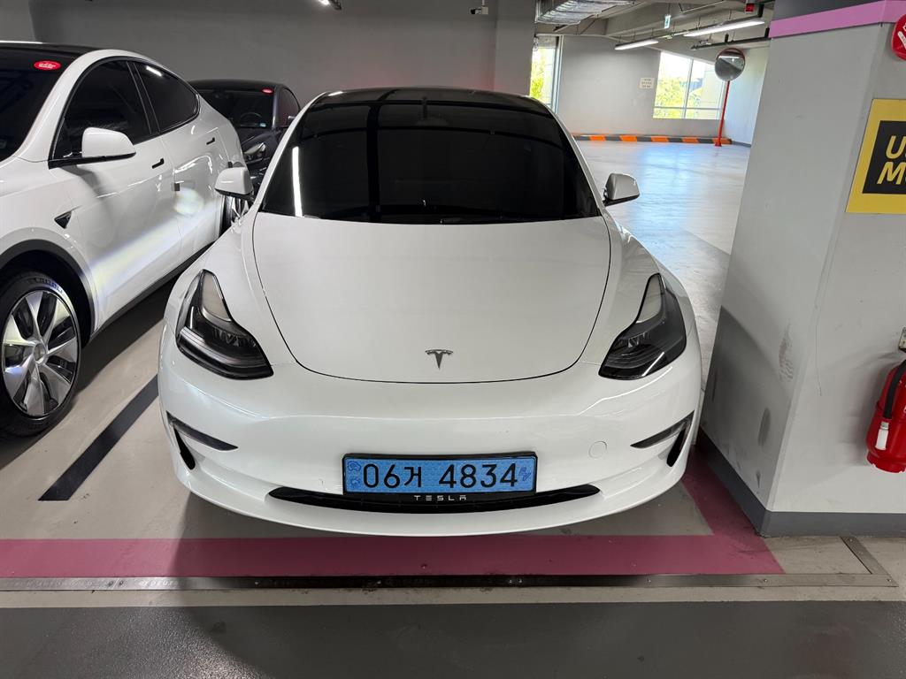 Tesla Model 3 AWD Rong Reinji