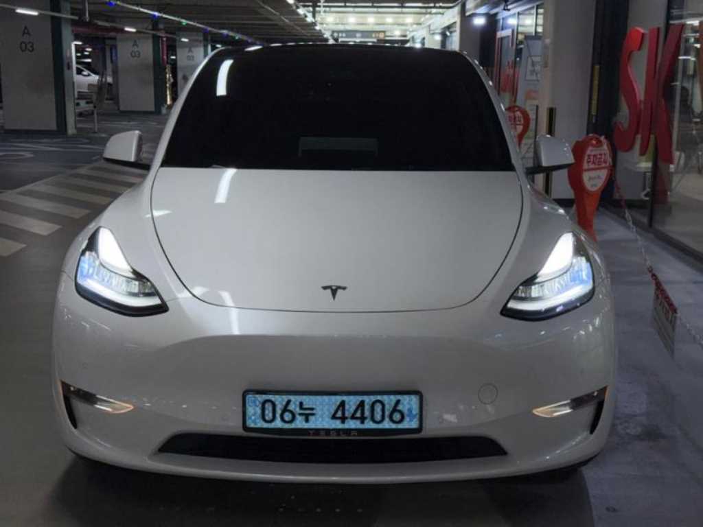 Tesla Model Y AWD Rong Reinji