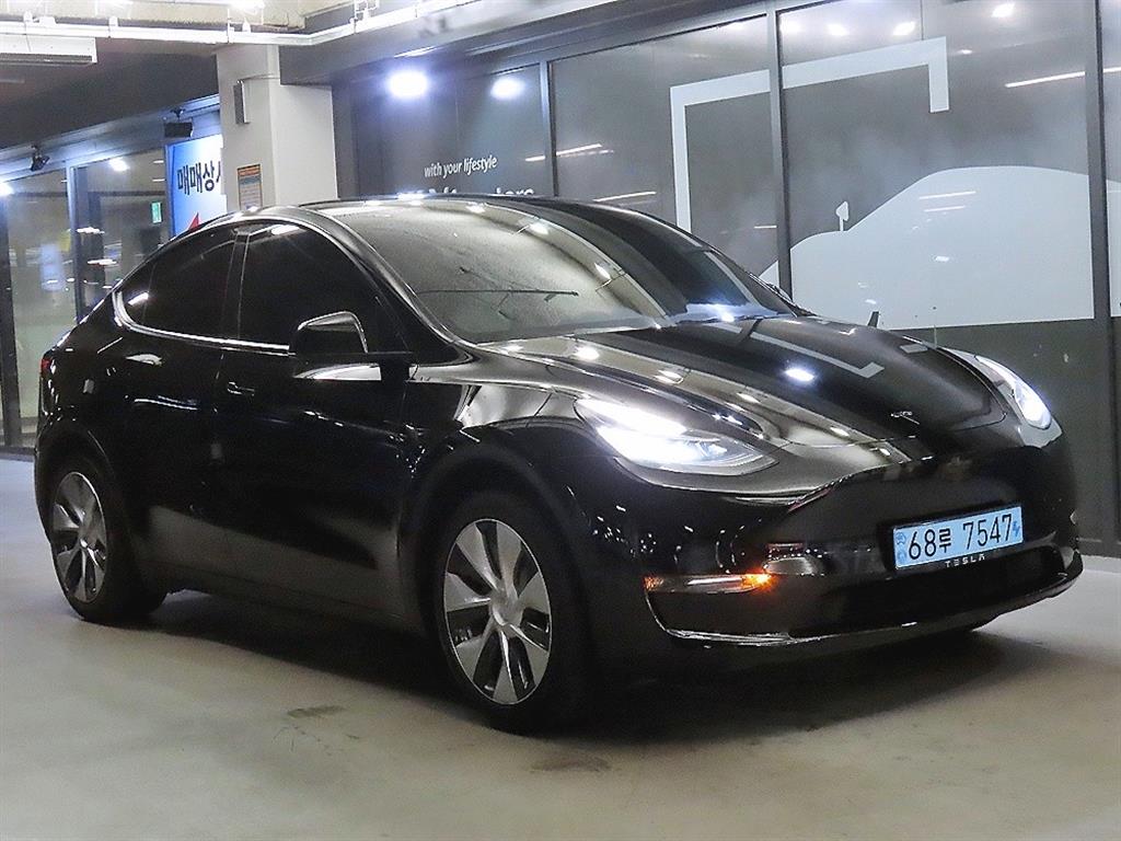 테슬라 Model Y RWD Standard Reinji