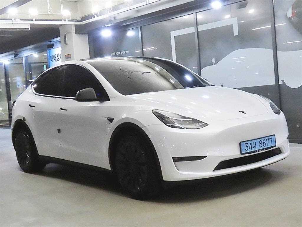 Tesla Model Y AWD Rong Reinji