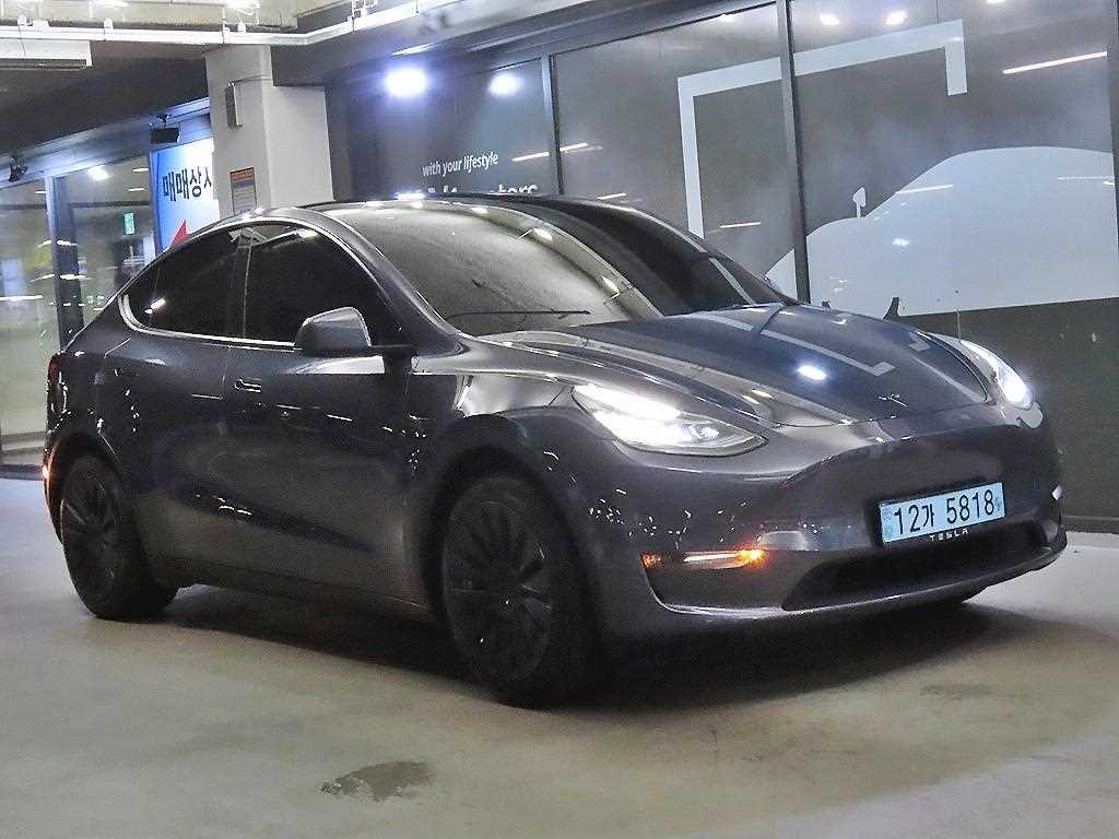 테슬라 Model Y AWD Rong Reinji