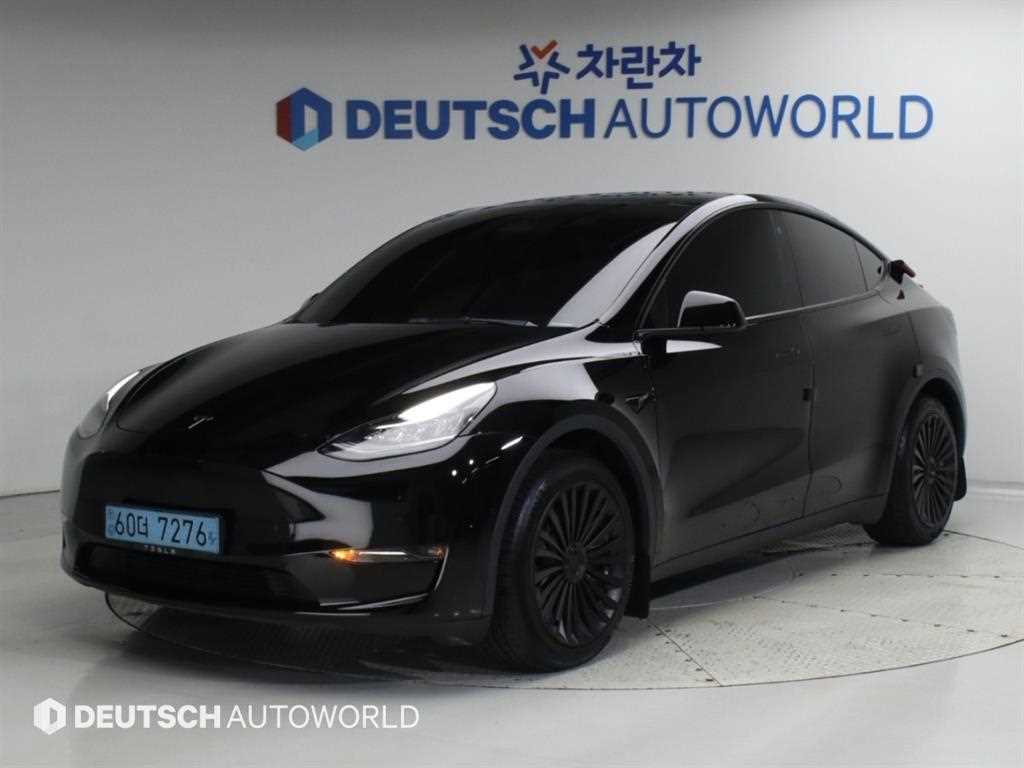 Tesla Model Y AWD Rong Reinji