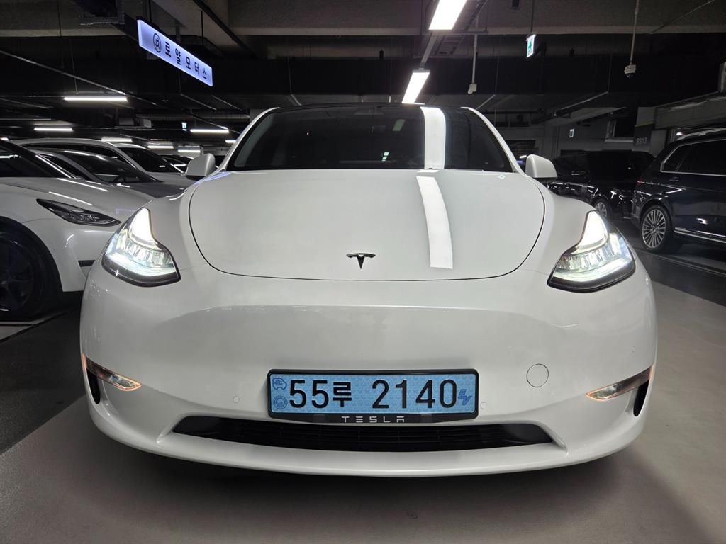 Tesla Model Y RWD Standard Reinji
