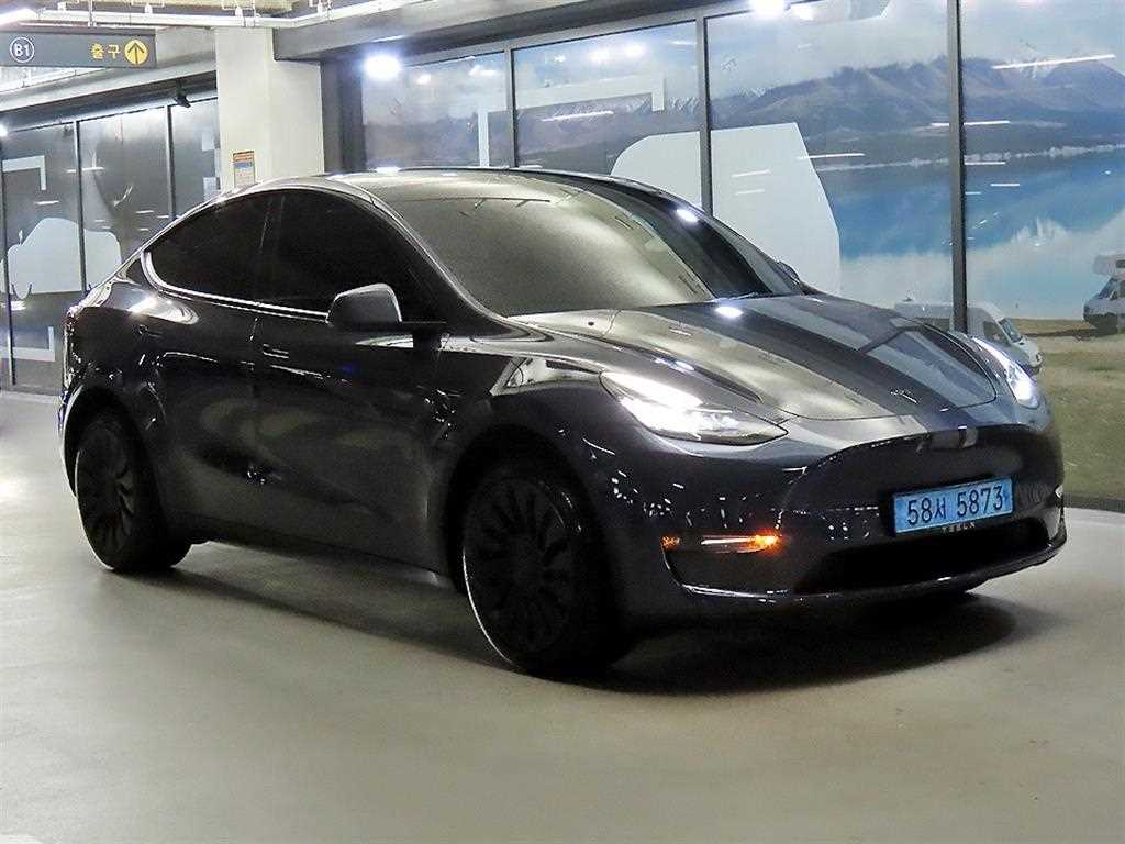 Tesla Model Y AWD Rong Reinji