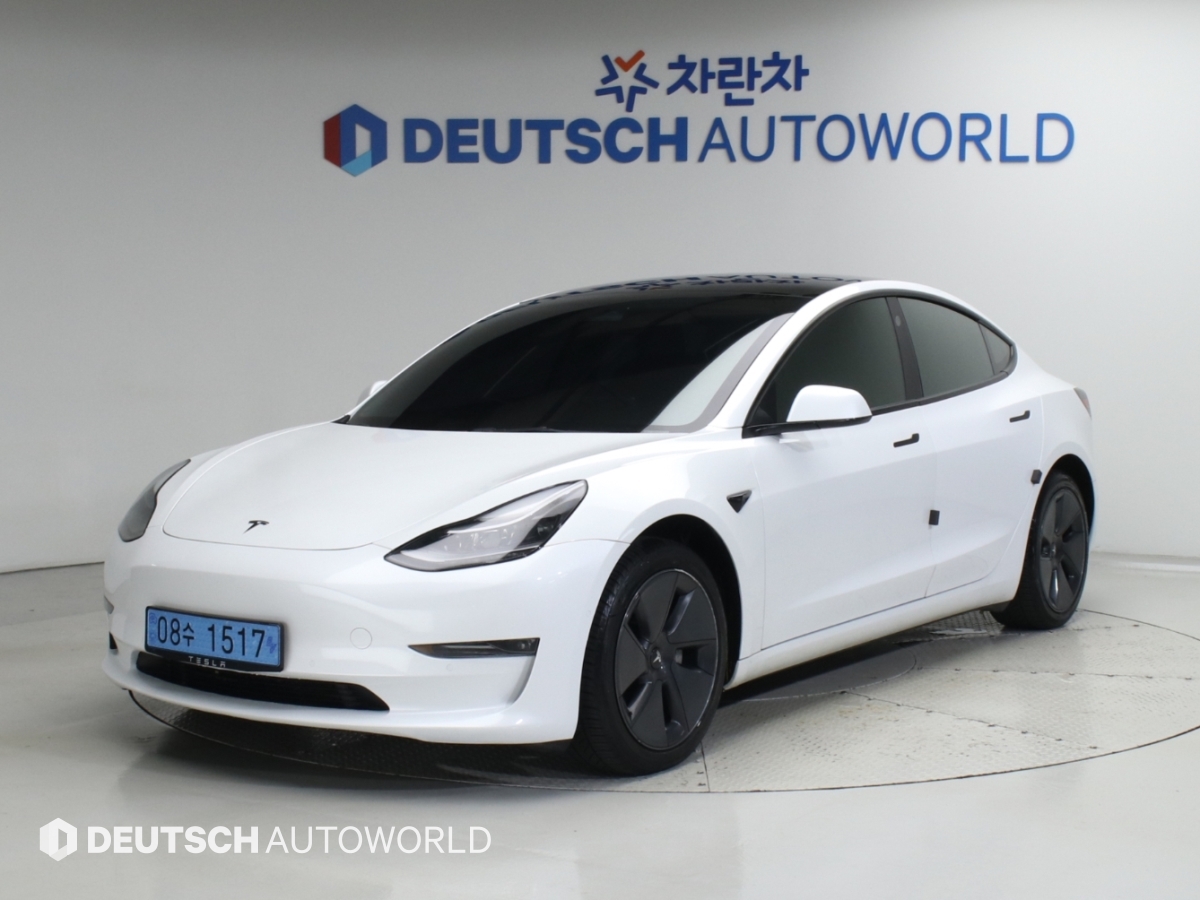 Tesla Model 3 AWD Rong Reinji