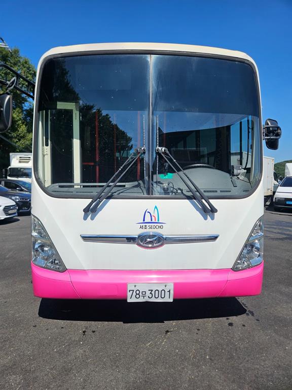 현대 Geurinsiti Geurinsiti CNG 29 인승