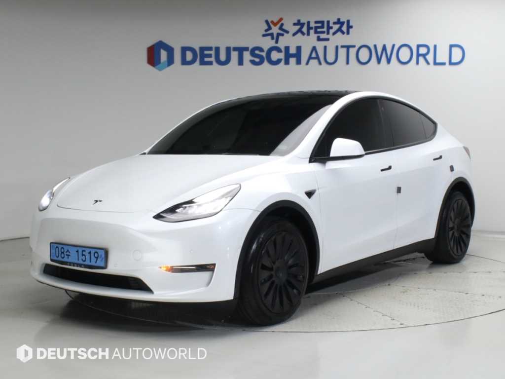 Tesla Model Y AWD Rong Reinji
