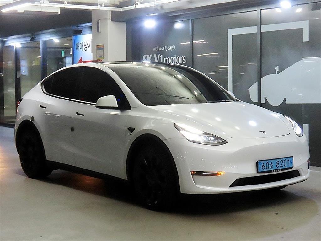 Tesla Model Y AWD Rong Reinji