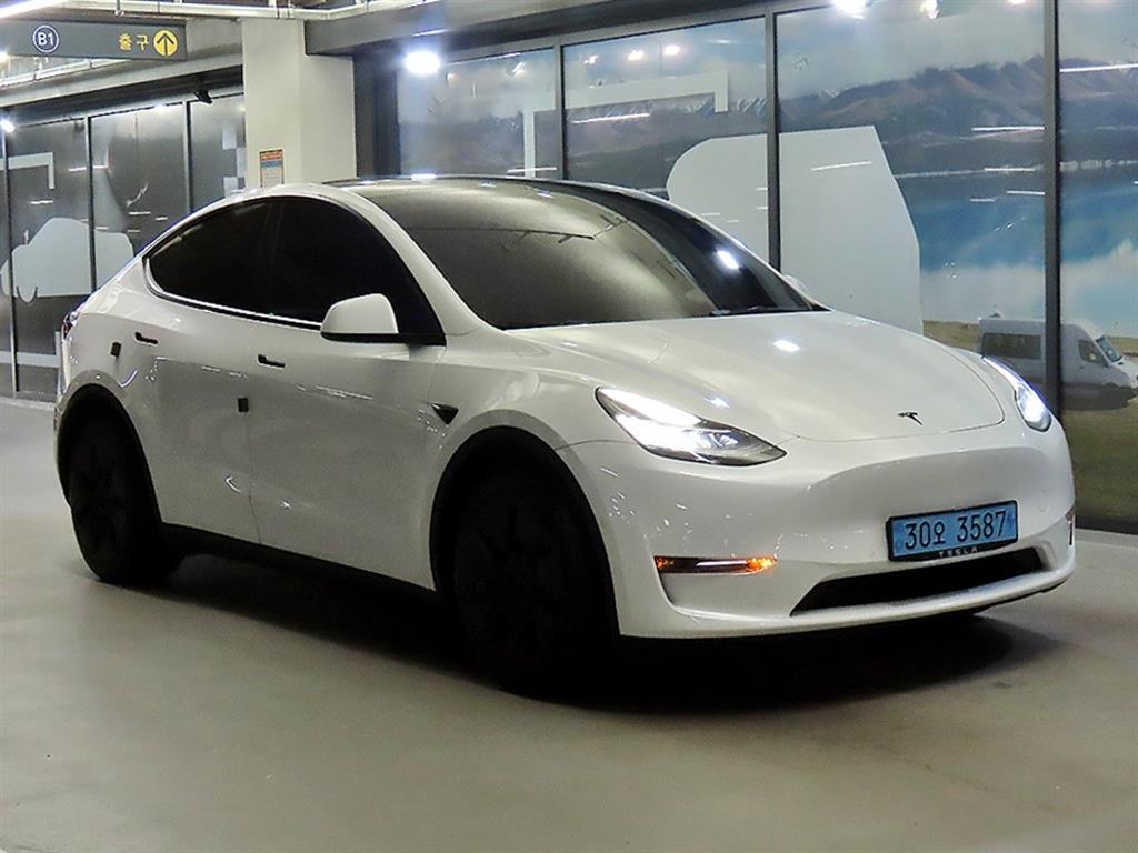 Tesla Model Y AWD Rong Reinji