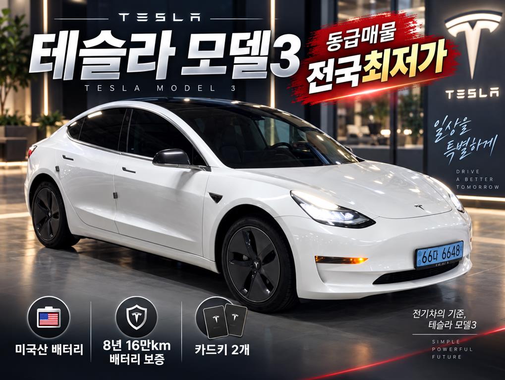 Tesla Model 3 RWD Standard Reinji Plus